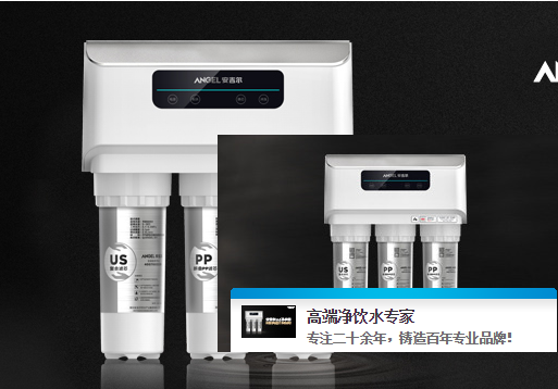 2017世界高端净水器十大品牌排名